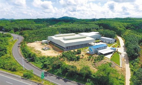 澄邁產業幫扶拔窮根 環保科技鋪就可持續發展之路